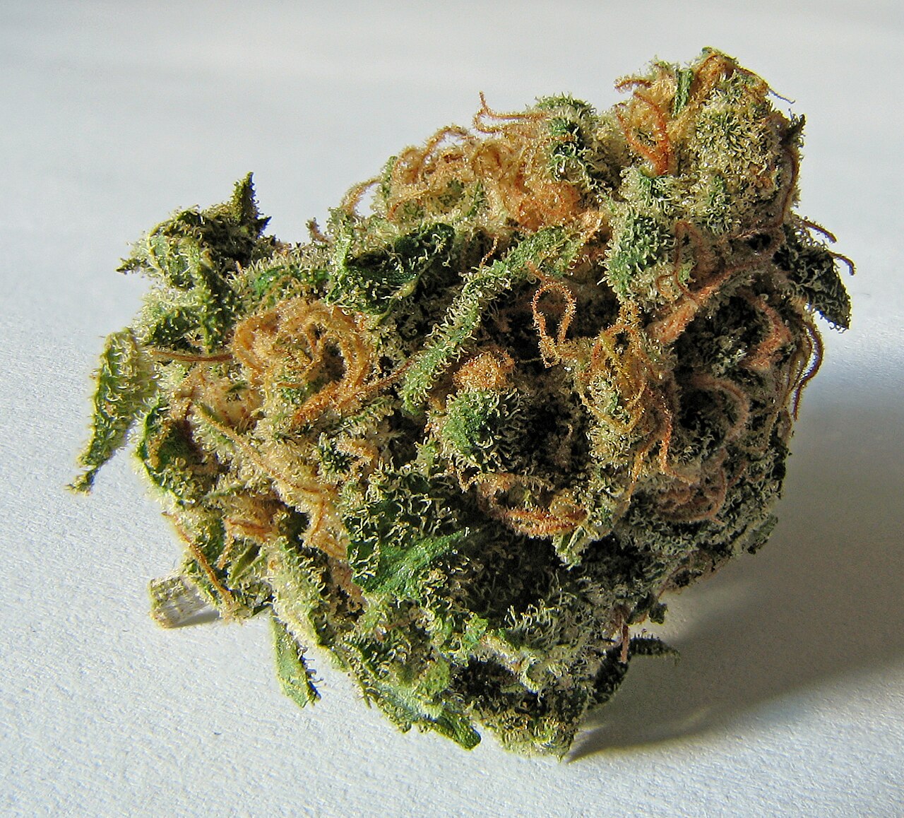 Cannabis flos S-LAB THC 18%, CBD ≤ 1%
