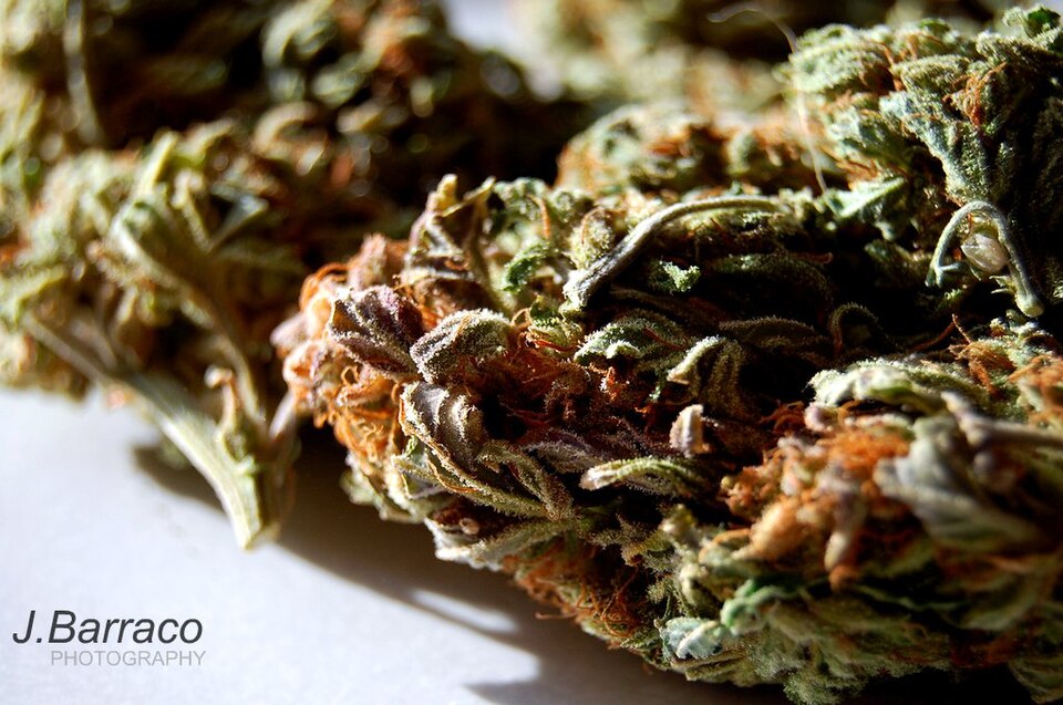 Cannabis flos Aurora THC 29%, CBD<1%