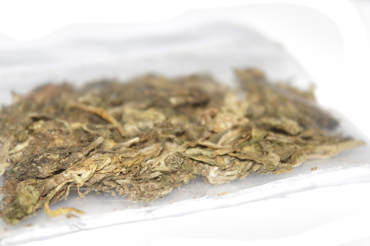 Cannabis flos S-LAB THC 22%, CBD ≤ 1%