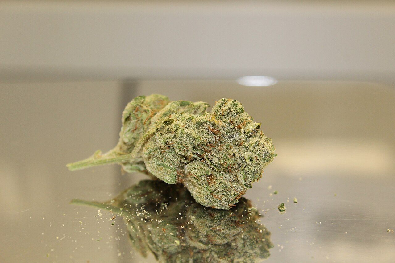 Cannabis flos COSMA THC 20%, CBD ≤ 1% (Balasa/Gorilla Girl)