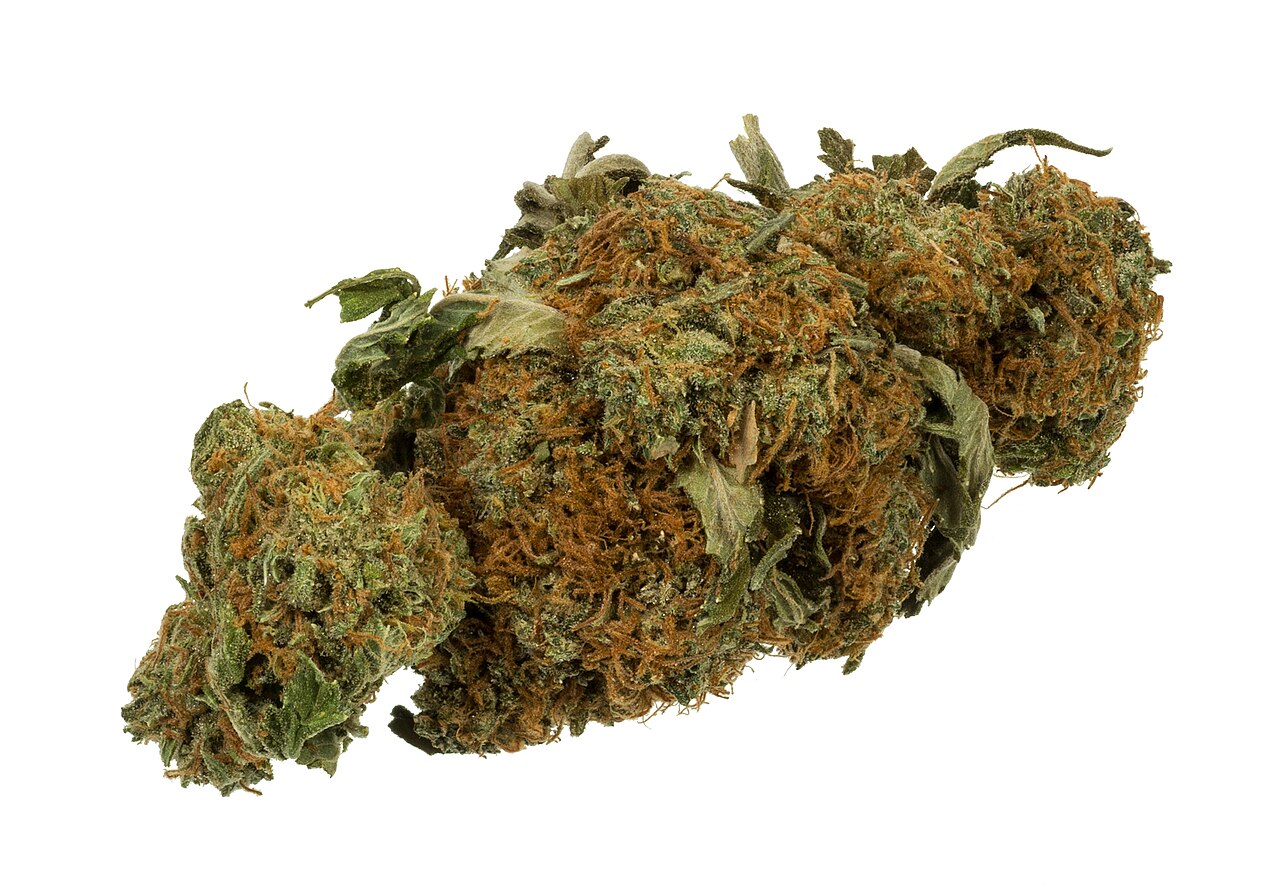 Cannabis flos Aurora THC 27%, CBD<1%