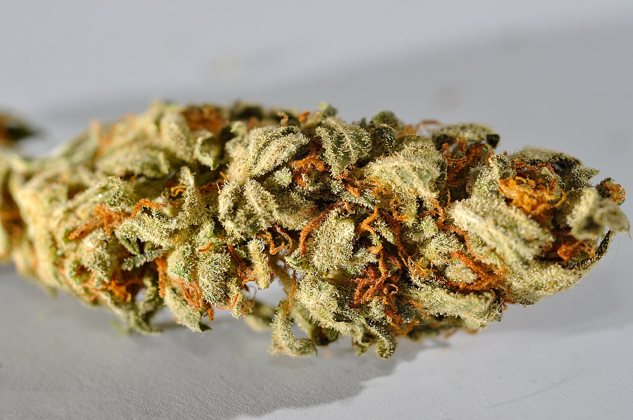 Cannabis flos THC 22%, CBD <1% Four 20 Pharma GmbH