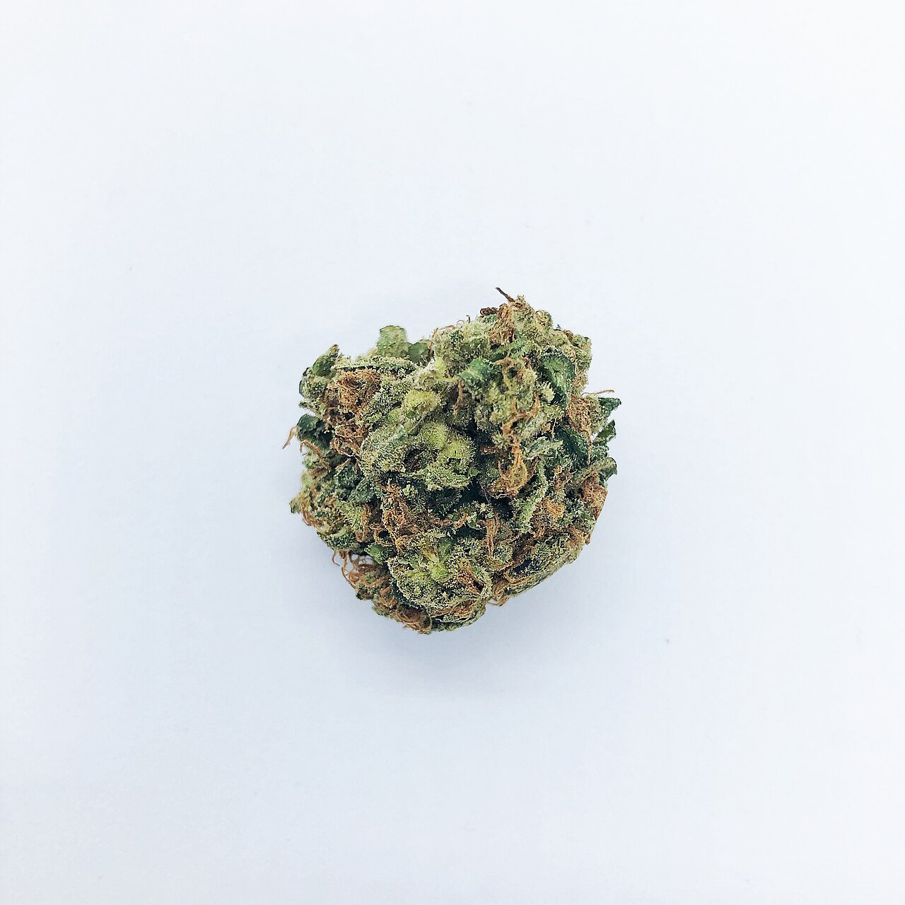 Cannabis flos Aurora THC 20%, CBD < 1% (Pink Kush)